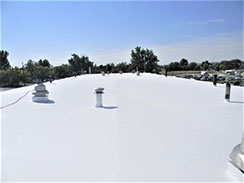 Roof Coating