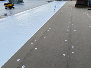 Single-Ply Roofing Systems1