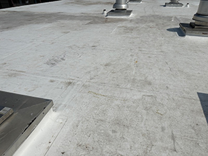 Single-Ply Roofing1