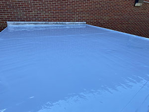 Roof Coating2